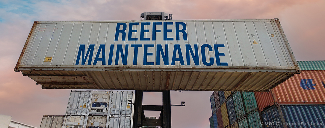 reefer container in UAE